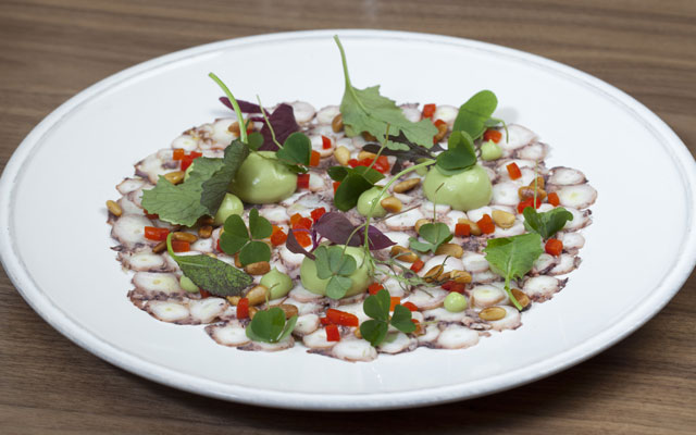 octopuscarpaccio11
